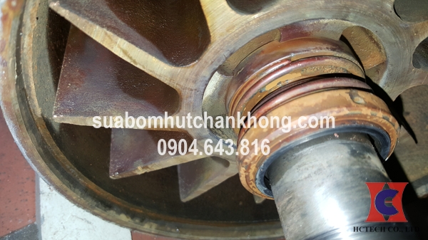 Vòng bi của bơm chân không vòng nước hỏng