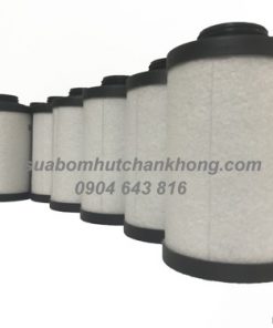 loc tach dau bom chan khong rietschle 731 401