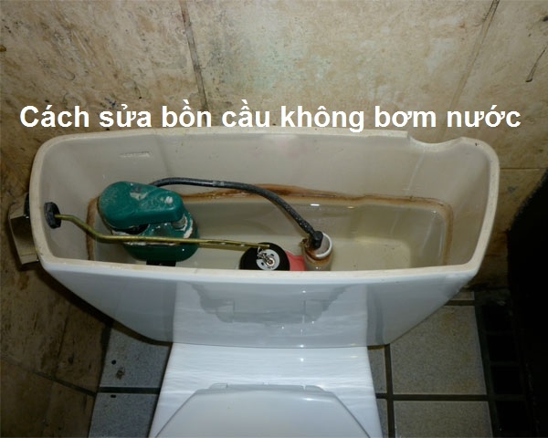 Cách sửa bồn cầu không bơm được nước