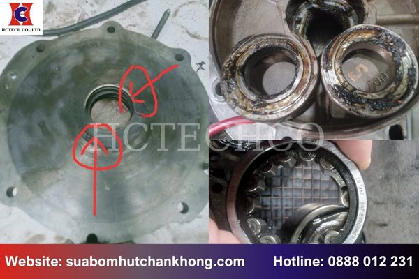 Dấu hiệu nhận biết bơm Becker VTLF 